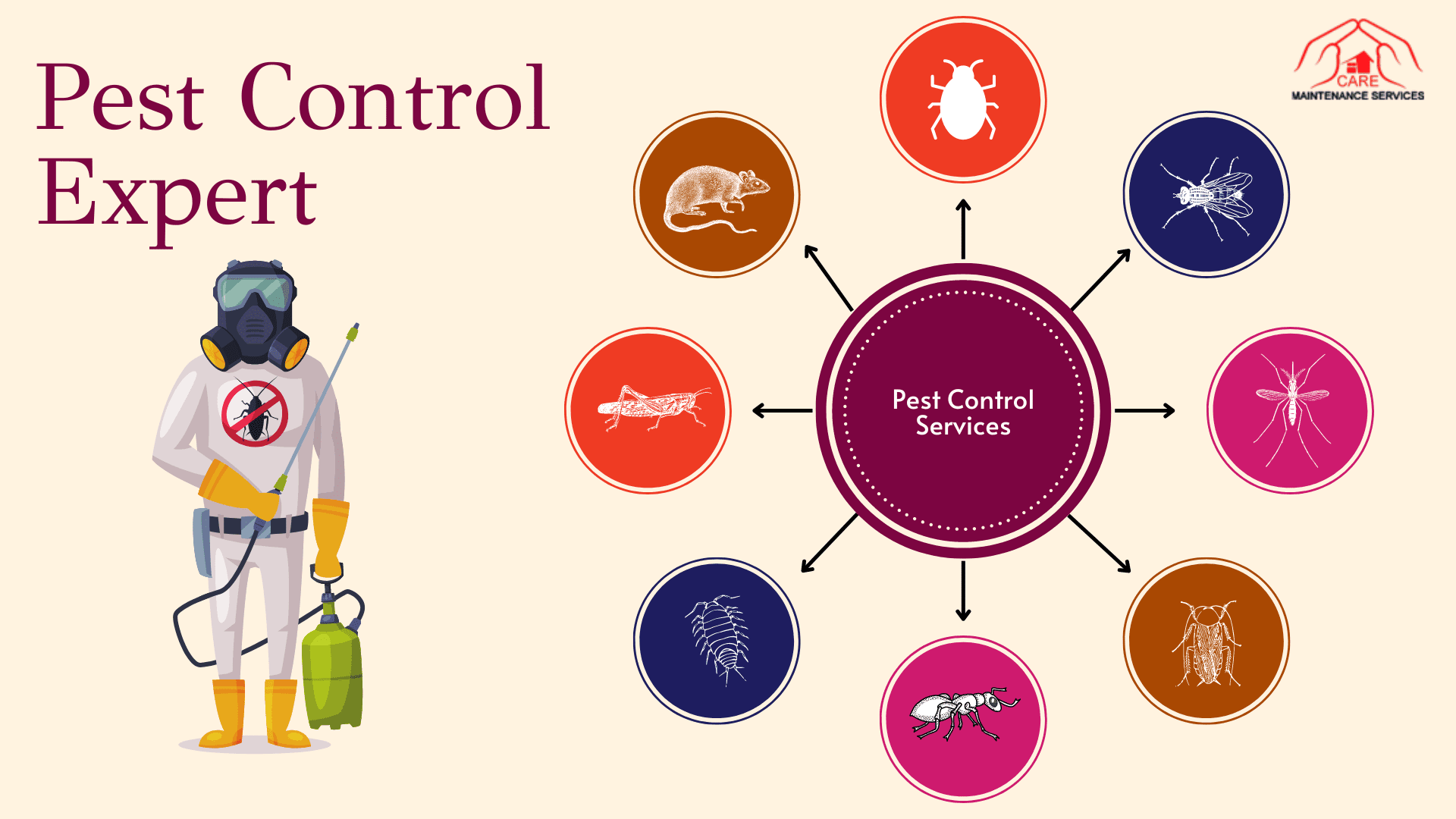 Choose the #1 Pest Control Service in Delhi NCR to Eliminate Pests from Your Property