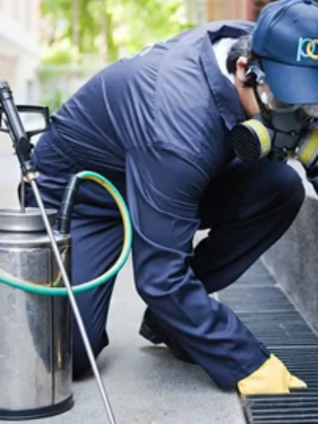 Home Maintenance Services – CareMs India