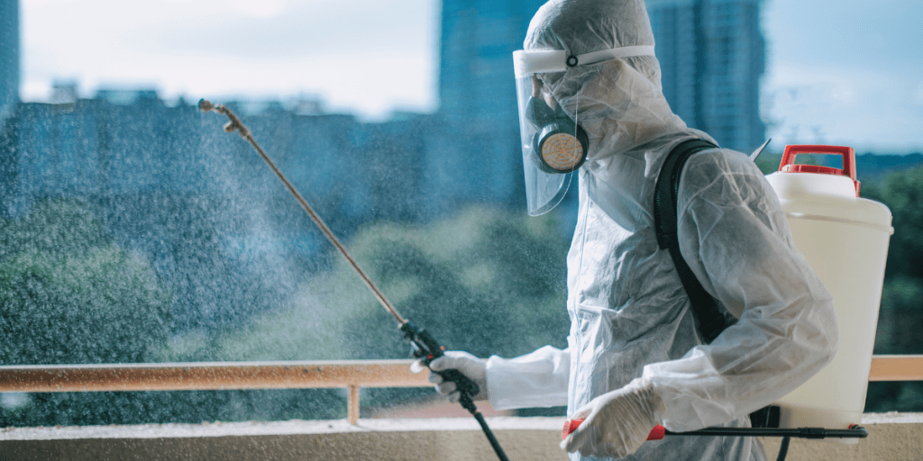 pest controle service near me