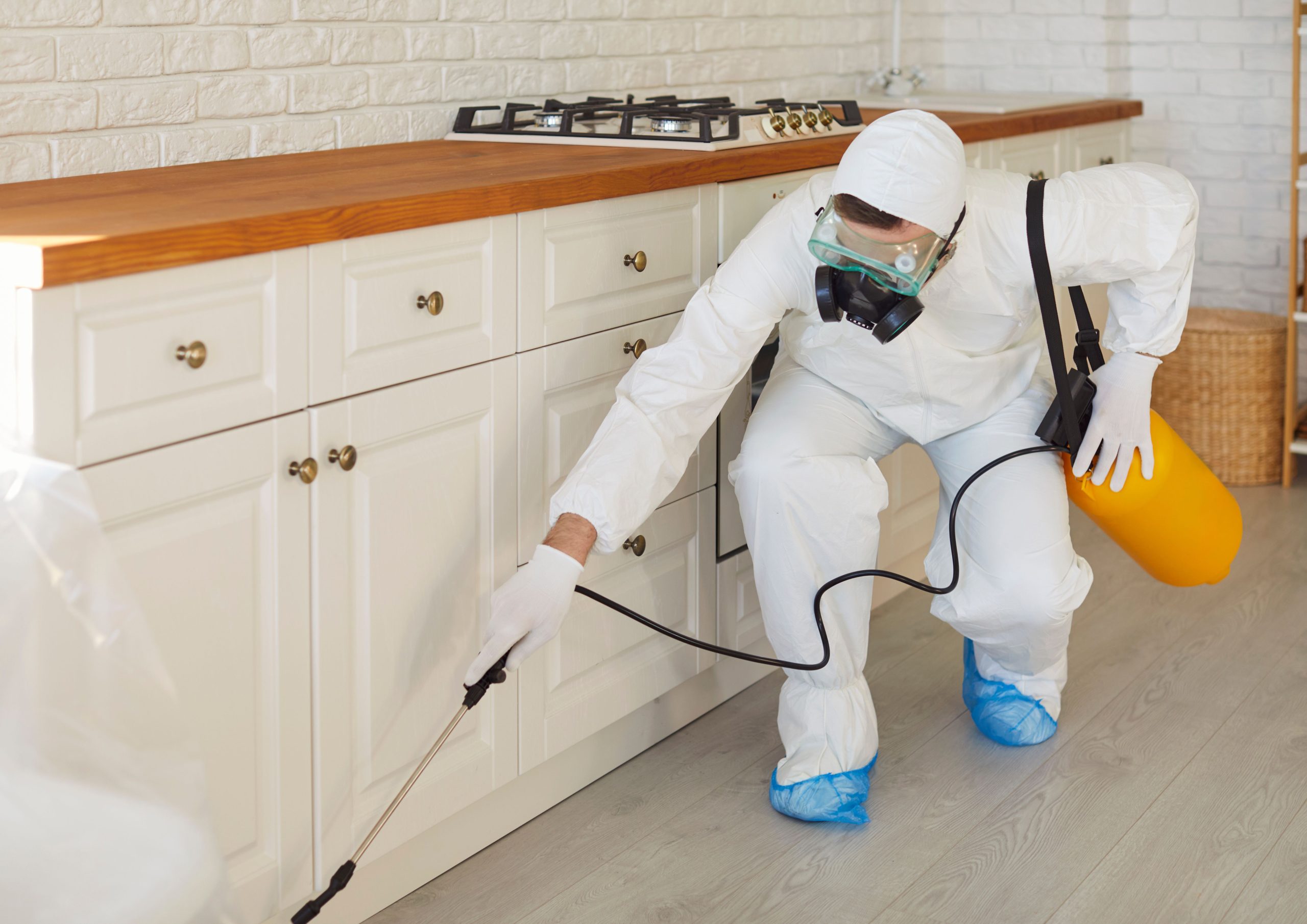 Full Protection for Your Home, Office, and Property with Anti-Termite Treatment