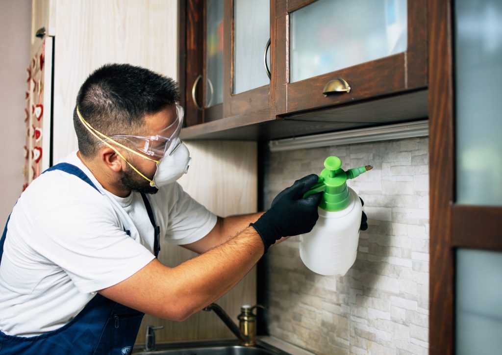 anti termite control